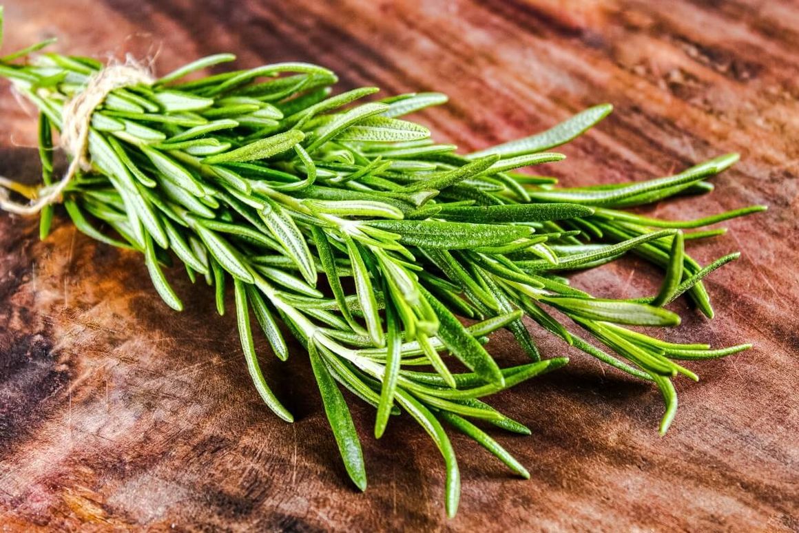 Frischer Rosmarin auf einem Holzbrett